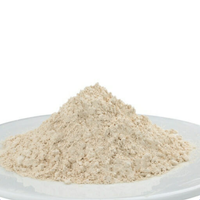 Enzyme