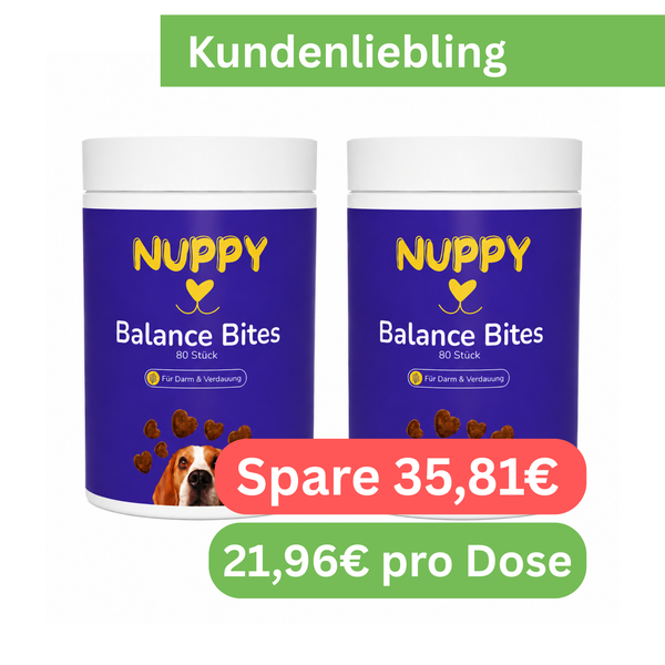 2x Dosen