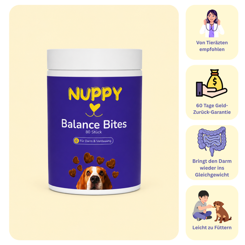 Balance Bites Hundeleckerli Dose - Natürliche Nahrungsergänzung für die Darmgesundheit deines Hundes