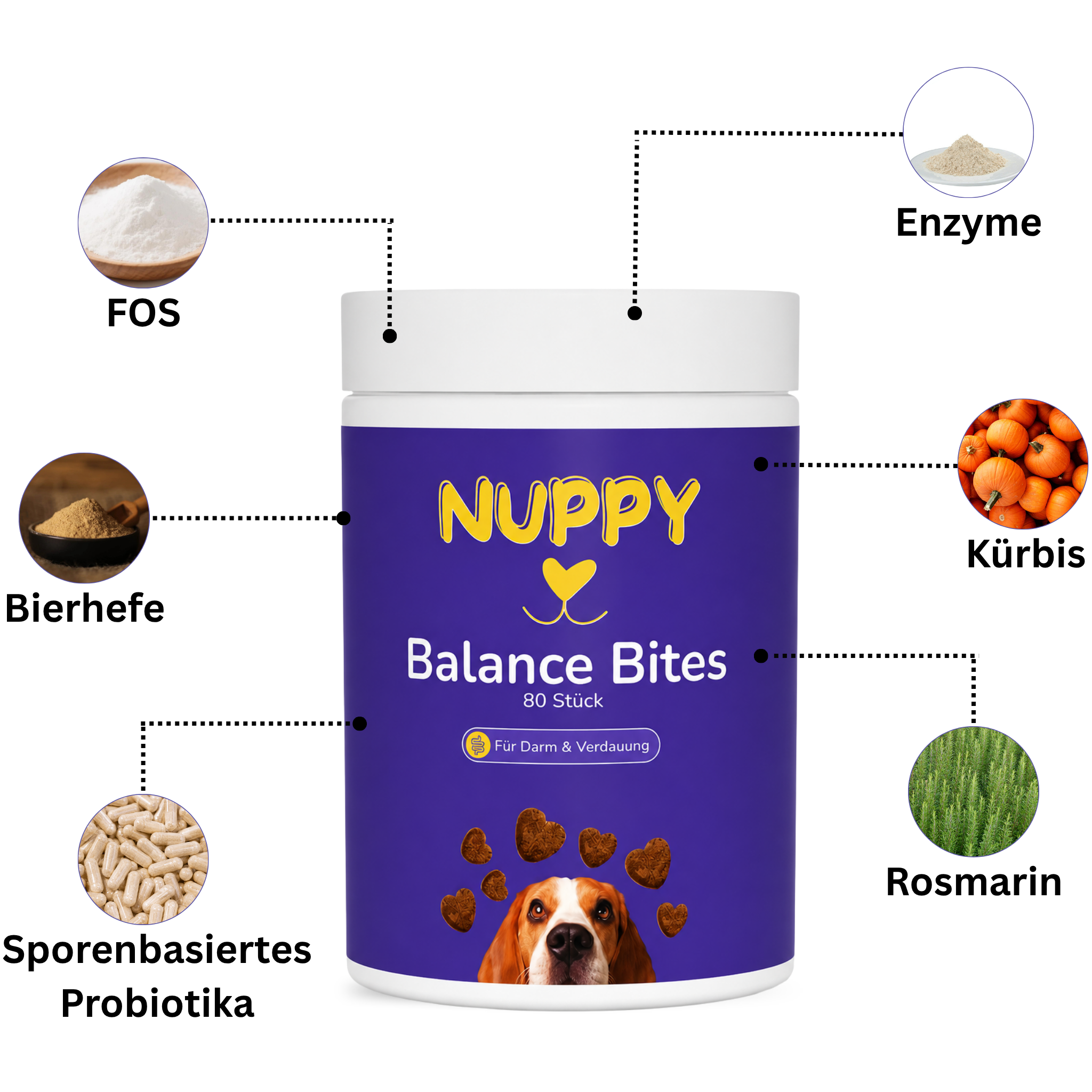 Balance Bites Packung - Prebiotische Hundeleckerli Made in Germany